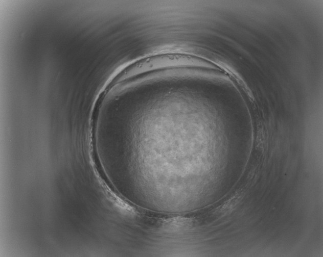 X0000060570992200511071014