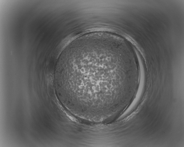 X0000060570993200511071014