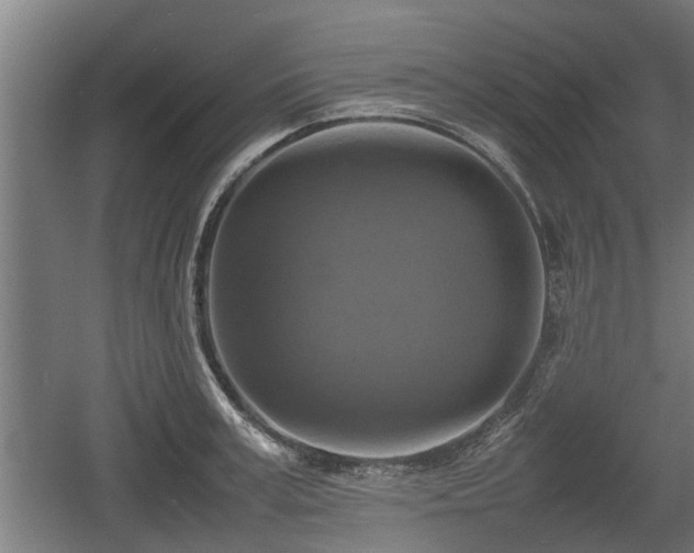 X0000060570995200511071014