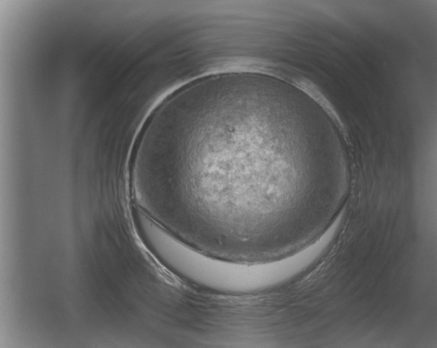 X0000060570996200511071014