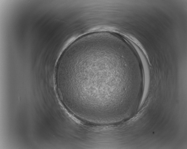 X0000060570997200511071014