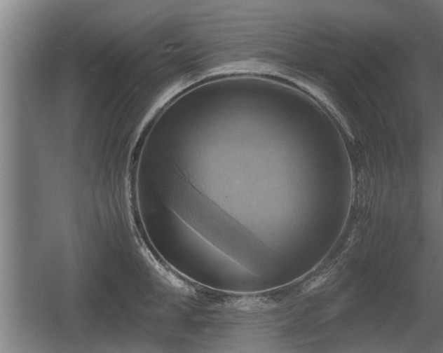 X0000060570998200511071014