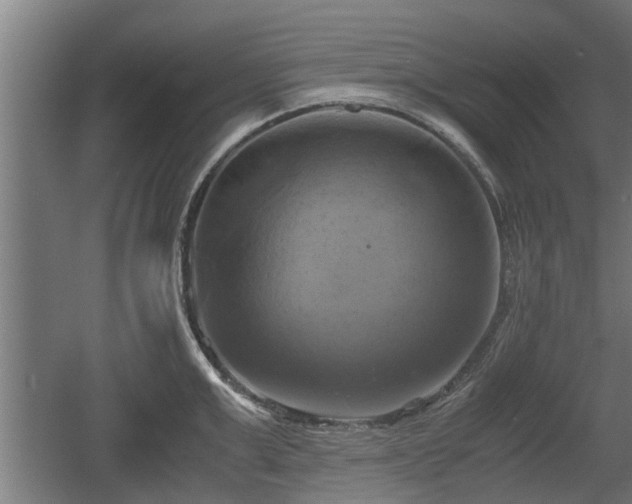 X0000060570999200511071014