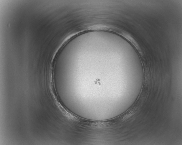 X0000060571000200511071014