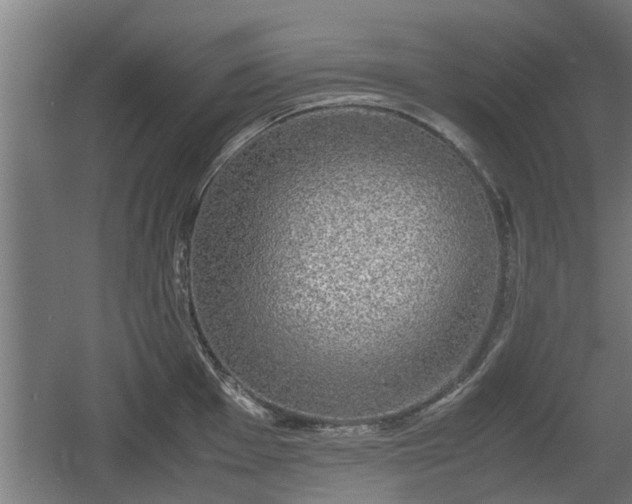 X0000060571001200511071014