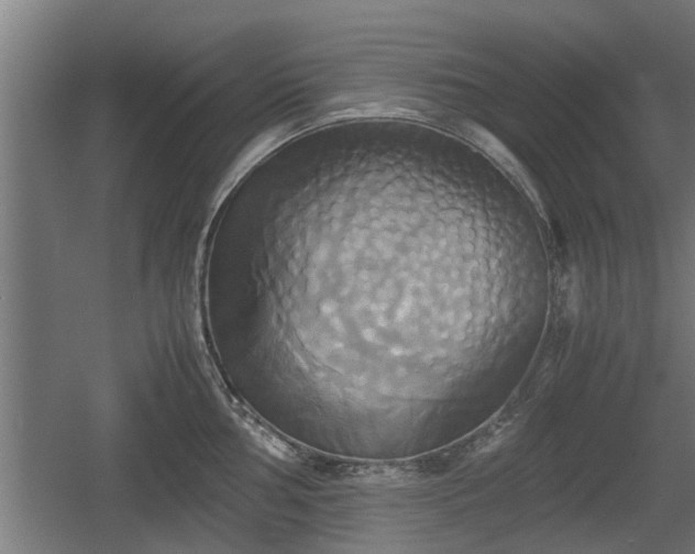 X0000060571002200511071014