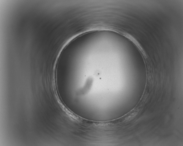 X0000060571004200511071014