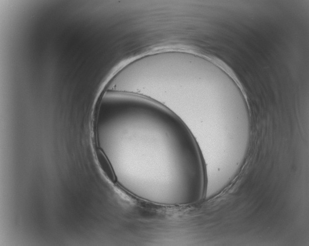 X0000060571005200511071014