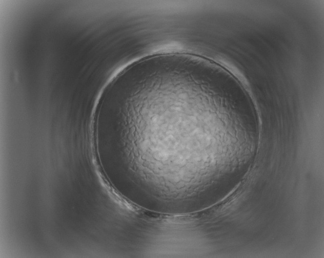 X0000060571008200511071014