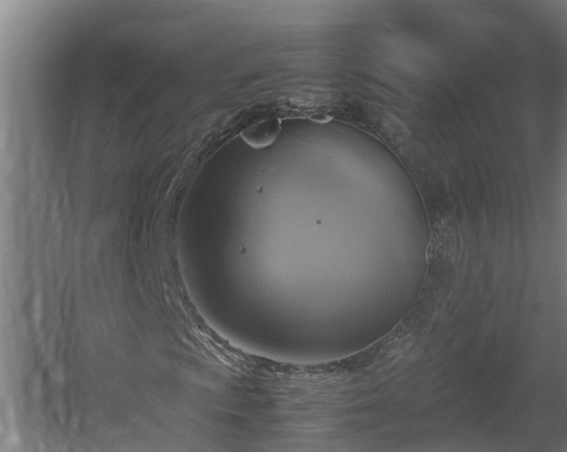 X0000060571009200511071013