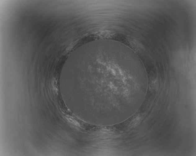 X0000060571010200511071013