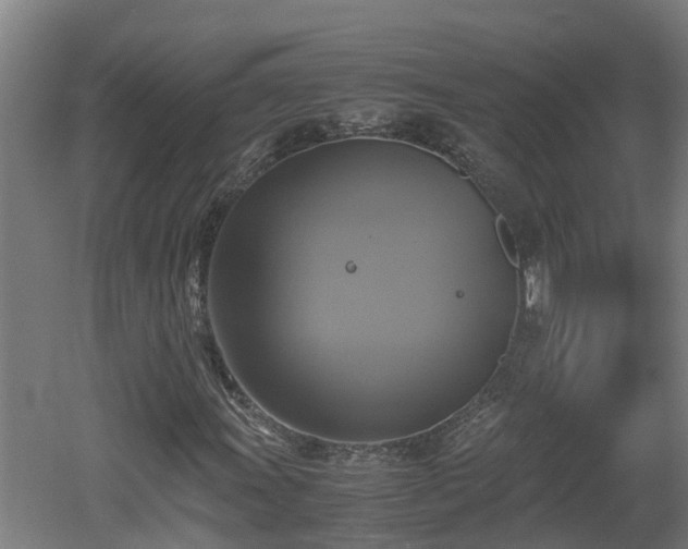 X0000060571011200511071013