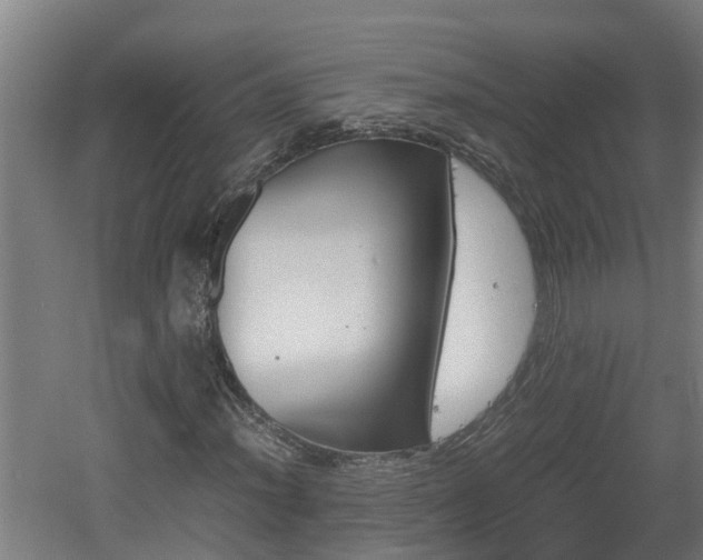 X0000060571012200511071013