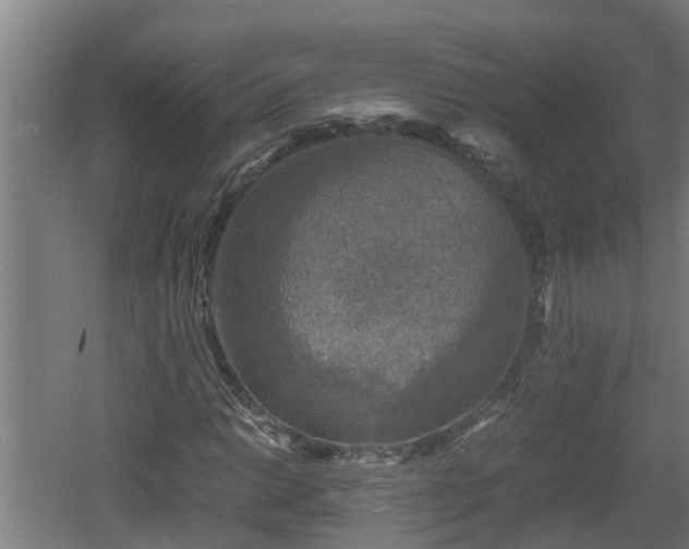 X0000060571014200511071013