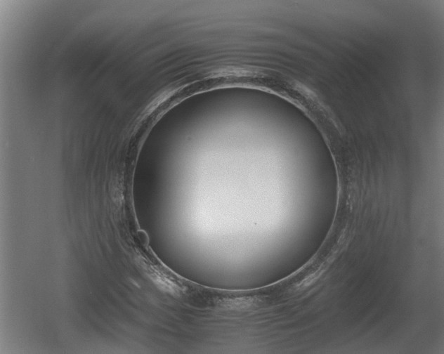 X0000060571017200511071013