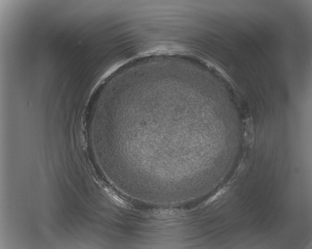 X0000060571018200511071013