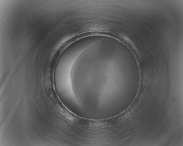 X0000060571019200511071013