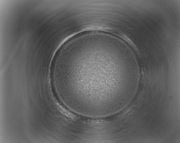 X0000060571020200511071013