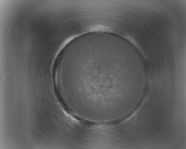 X0000060571022200511071013