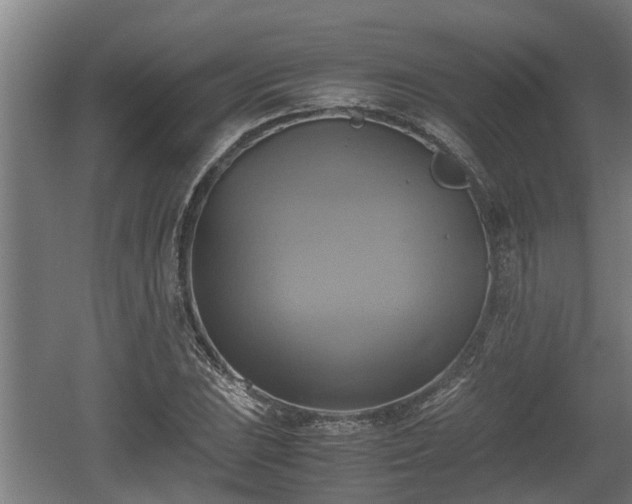 X0000060571023200511071014