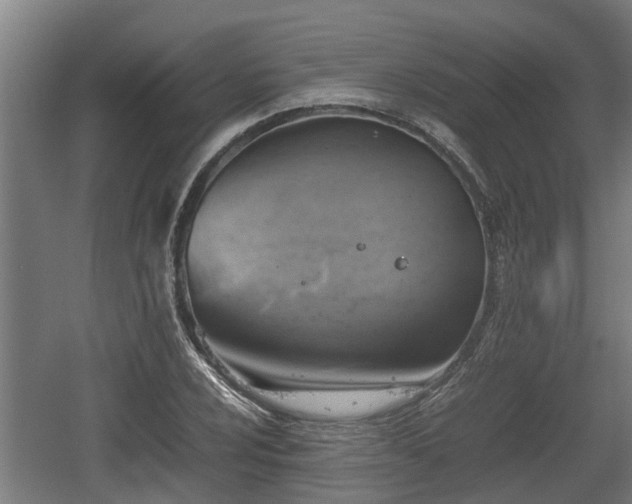 X0000060571024200511071014