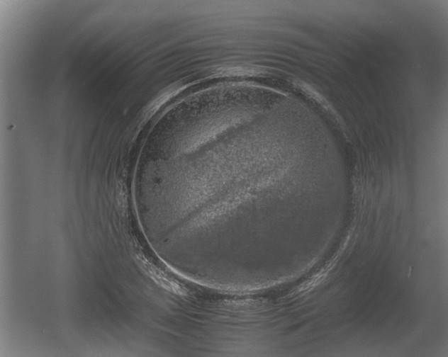 X0000060571025200511071014