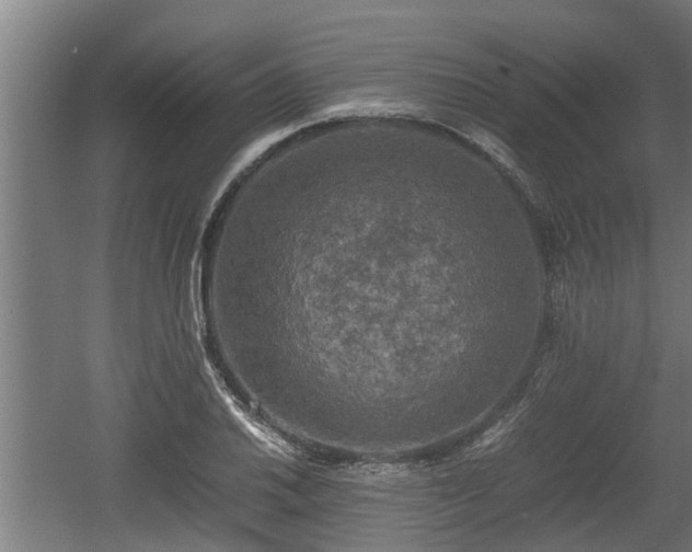 X0000060571030200511071014