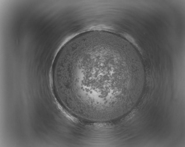 X0000060571032200511071014