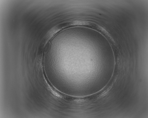 X0000060571033200511071014