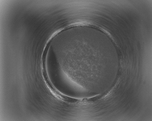 X0000060571034200511071014