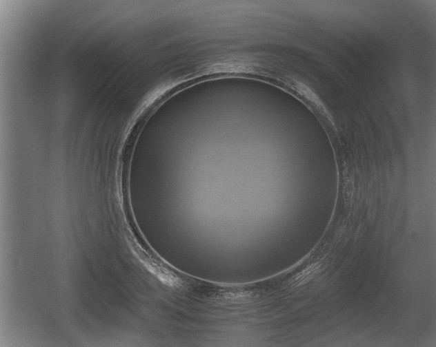 X0000060571035200511071014