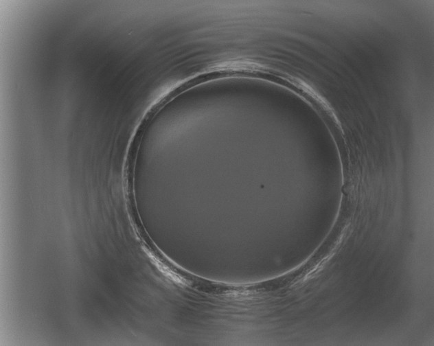 X0000060571037200511071014