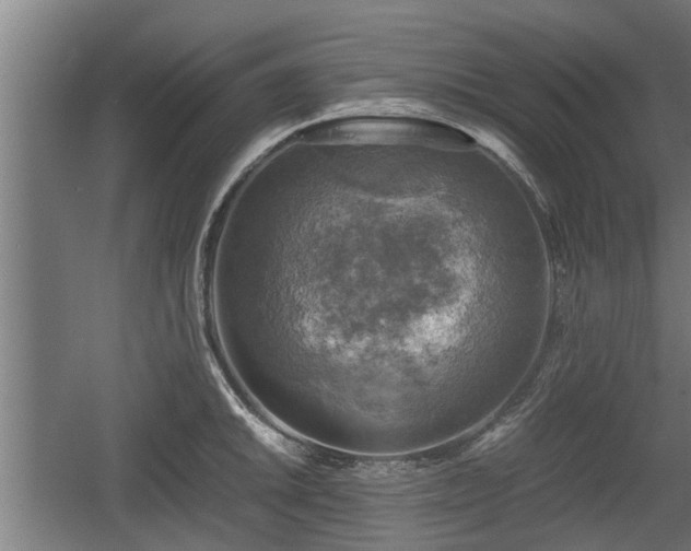 X0000060571046200511071014