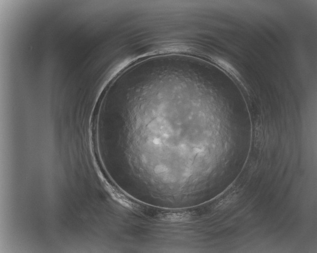 X0000060571047200511071014