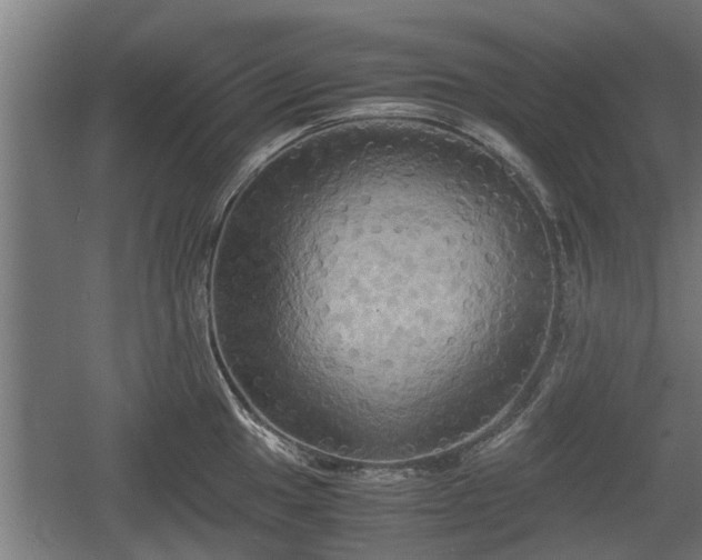 X0000060571049200511071014