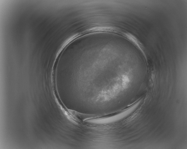 X0000060571050200511071014