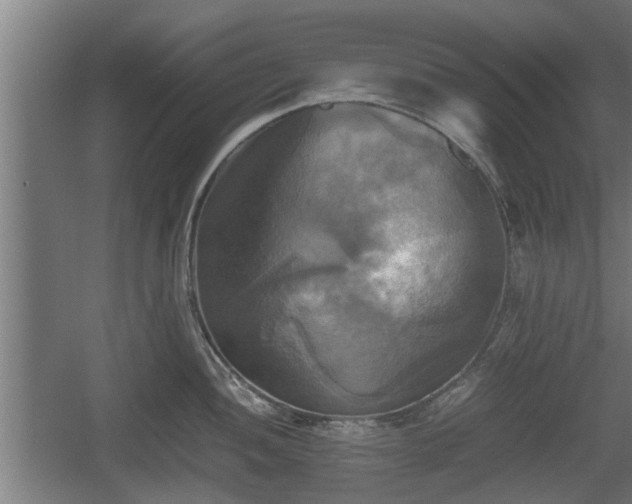 X0000060571052200511071014