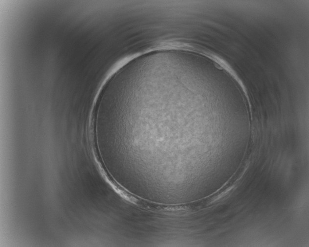 X0000060571053200511071014