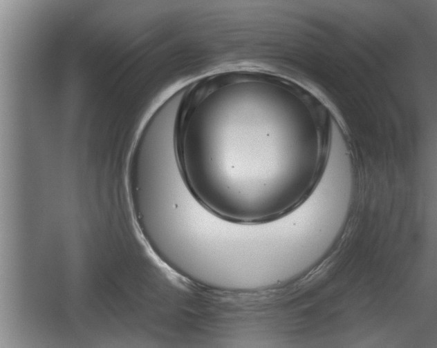 X0000060571054200511071014