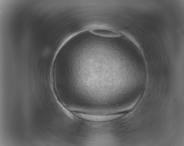 X0000060571056200511071014