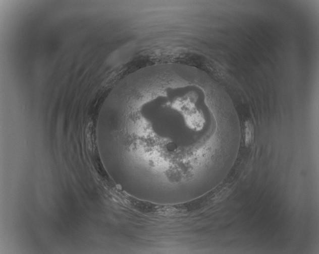 X0000060571059200511071013