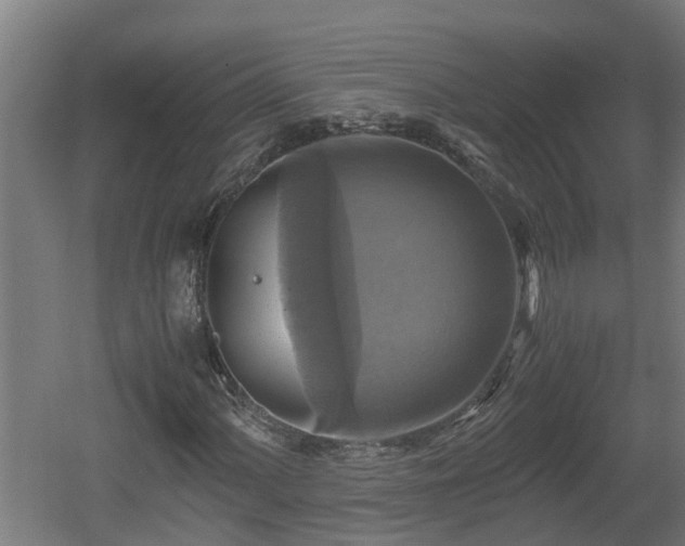 X0000060571060200511071013