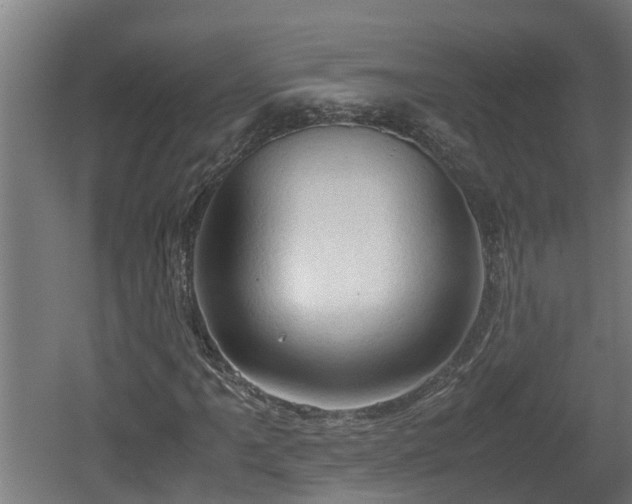 X0000060571061200511071013