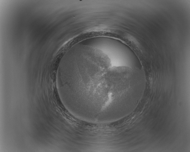 X0000060571064200511071013