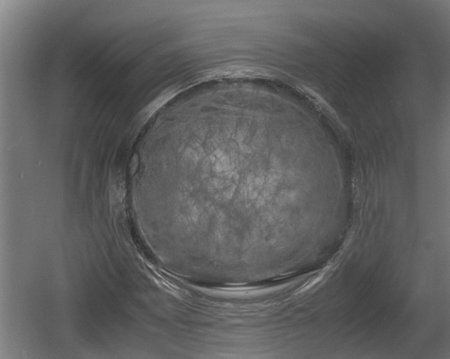 X0000060571065200511071013