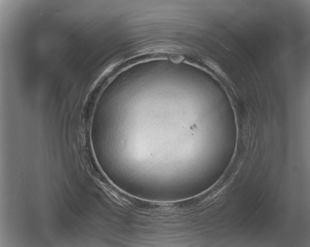 X0000060571067200511071013