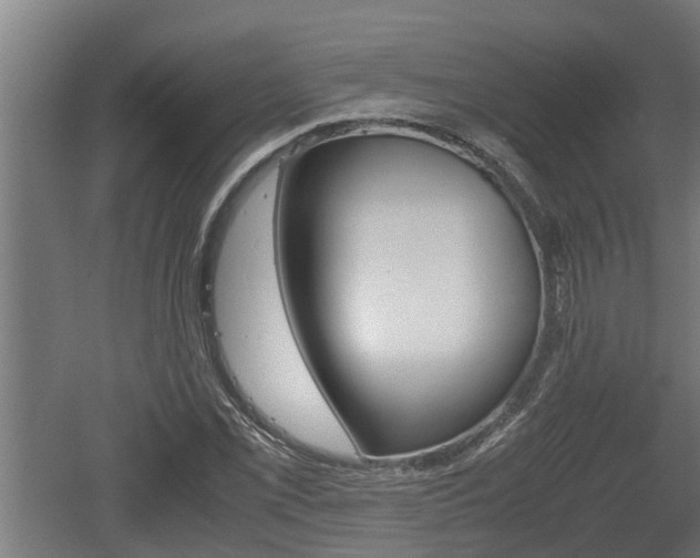 X0000060571069200511071013