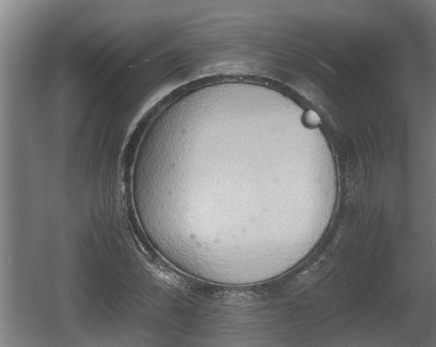 X0000060571070200511071013