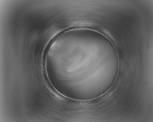 X0000060571071200511071013