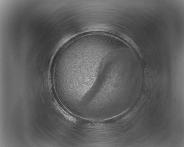 X0000060571072200511071013